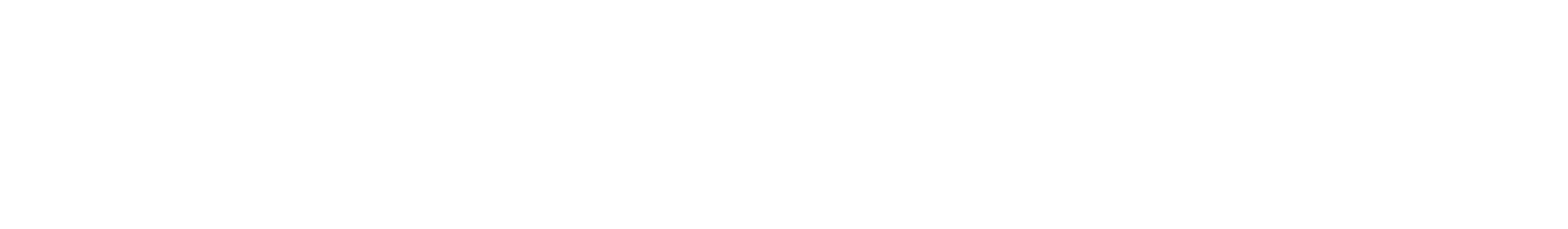 iisewärk