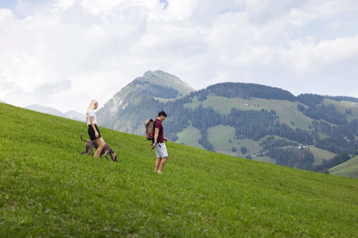Made in Bern x Gstaad Tourismus – Bild 1