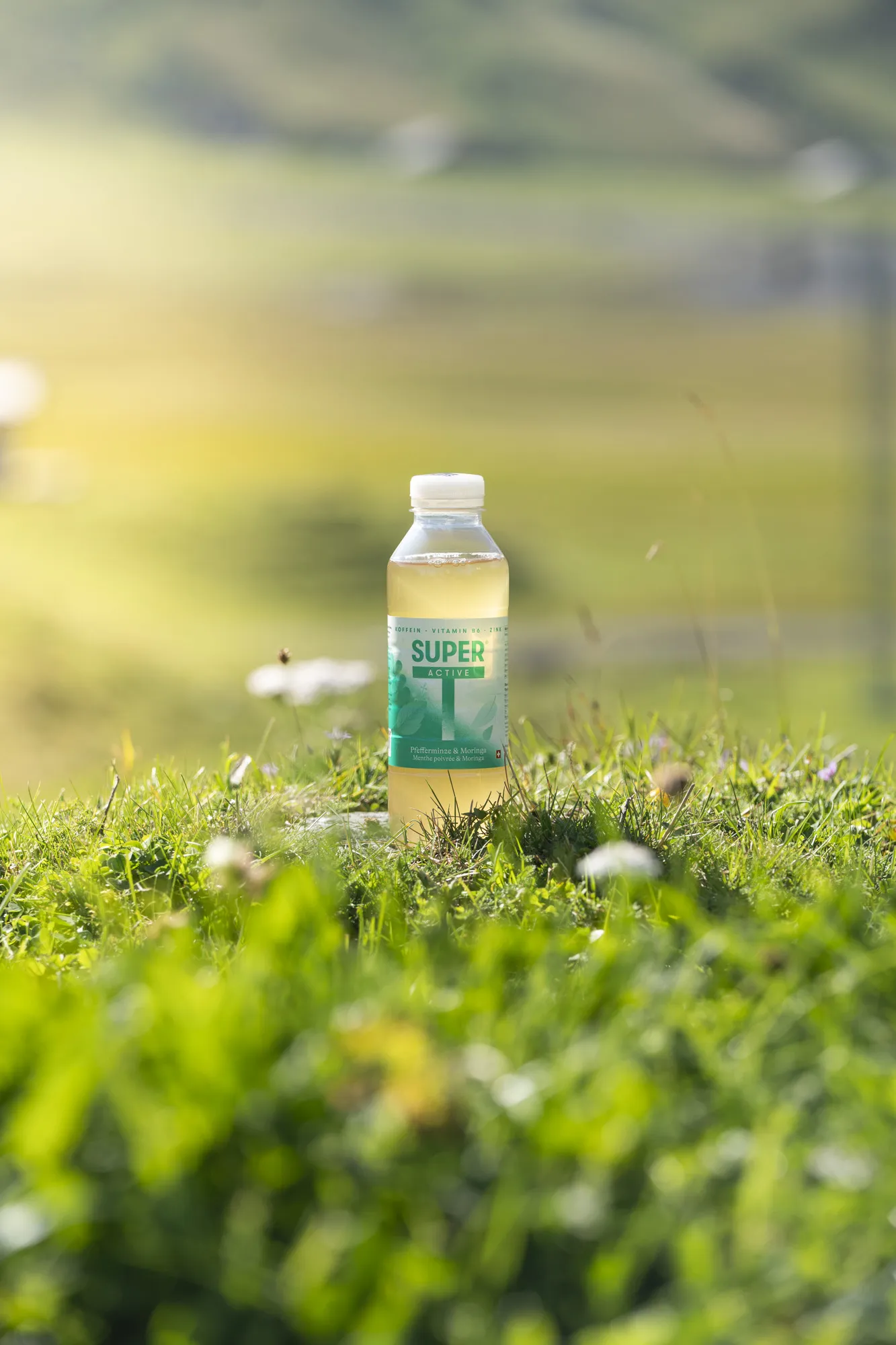 SuperT – der Schweizer Vitamintee – Bild 2